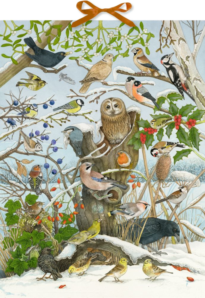 Wand/Sound Adventskalender Unsere Vögel im Winter