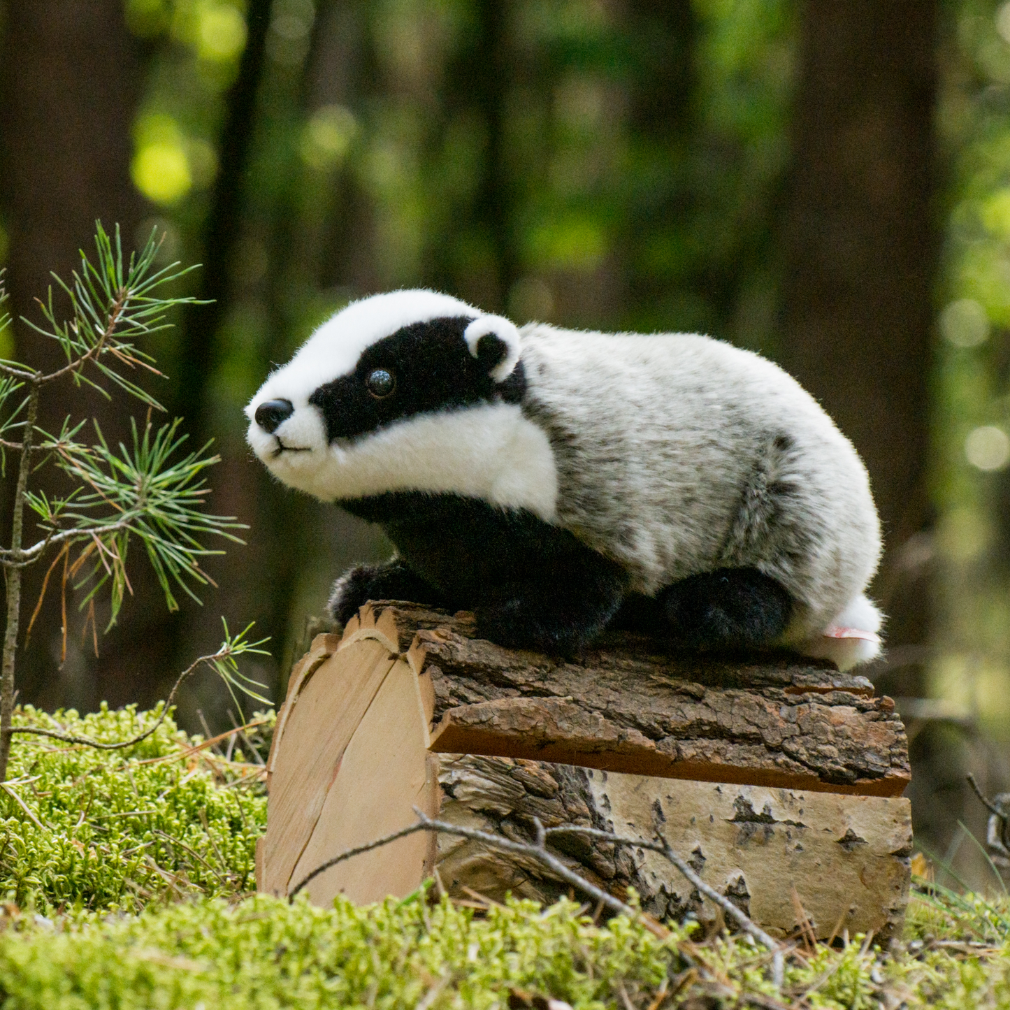 Badger plush toy 30cm