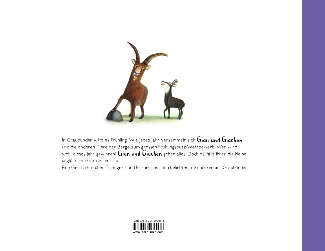 Gian and Giachen and the Great Spring Cleaning Picture Book