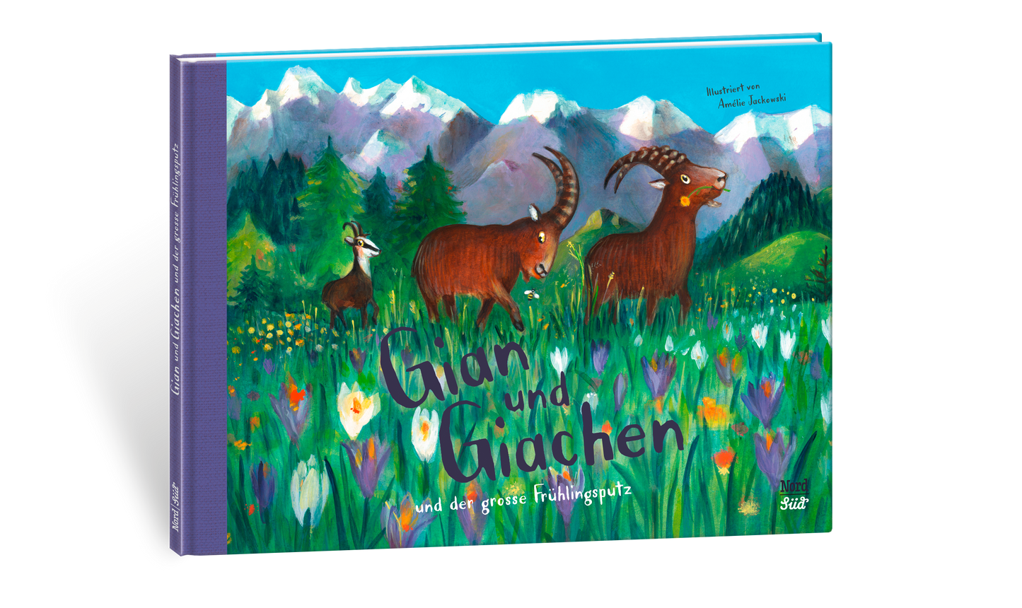 Gian and Giachen and the Great Spring Cleaning Picture Book