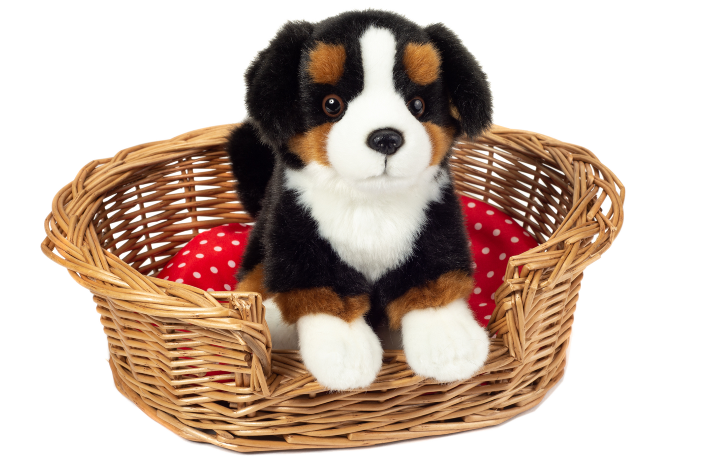 Peluche Bovaro Bernese seduto 21 cm