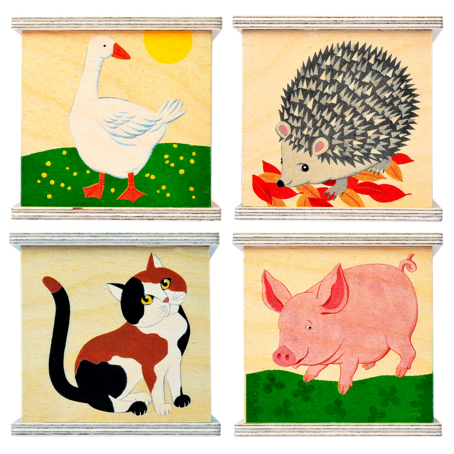 Money box animals birch plywood