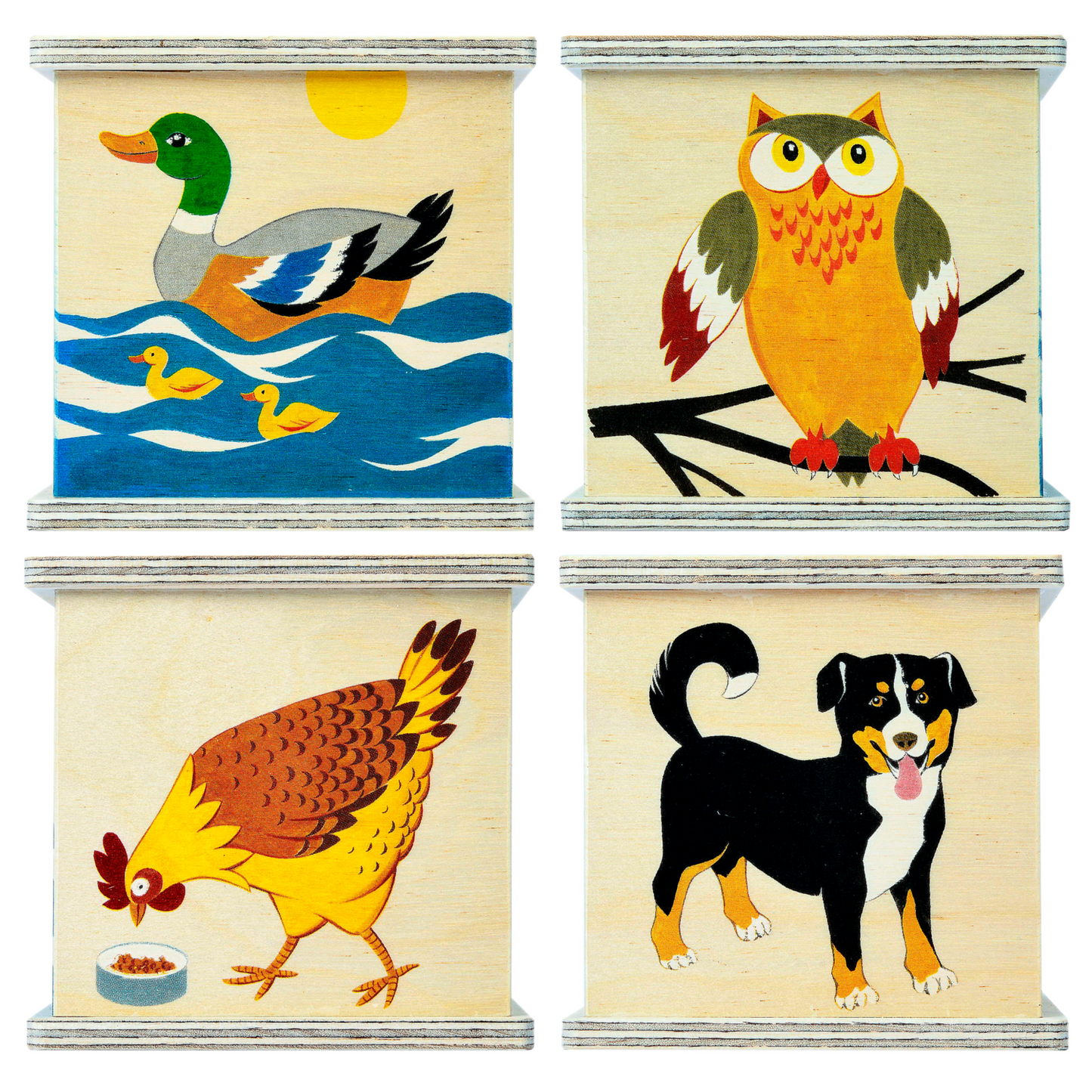 Money box animals birch plywood
