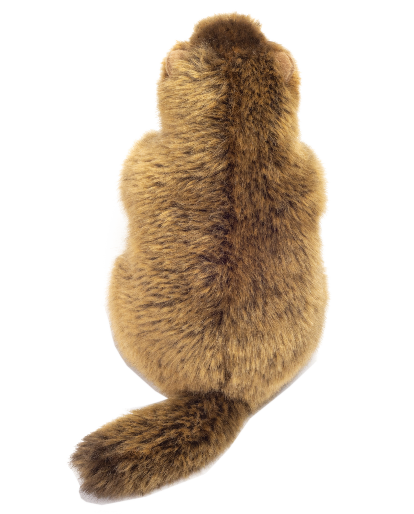 Marmot plush toy 20cm
