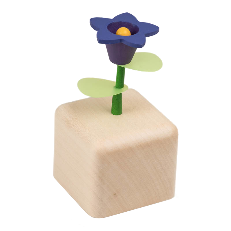Music Cube Gentian / Schubert