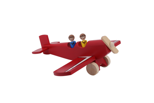 Flugzeug Charly Holz