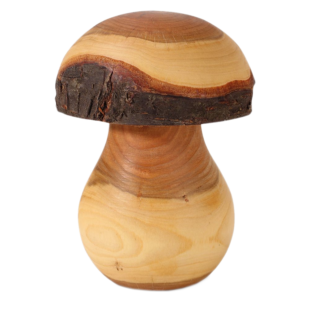 Pilzdeko aus Laubholz