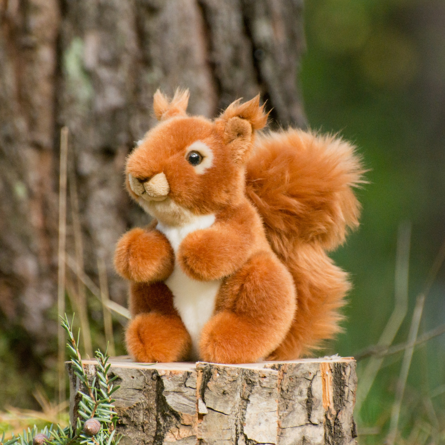 Plüschtier EIchhörnchen im Wald