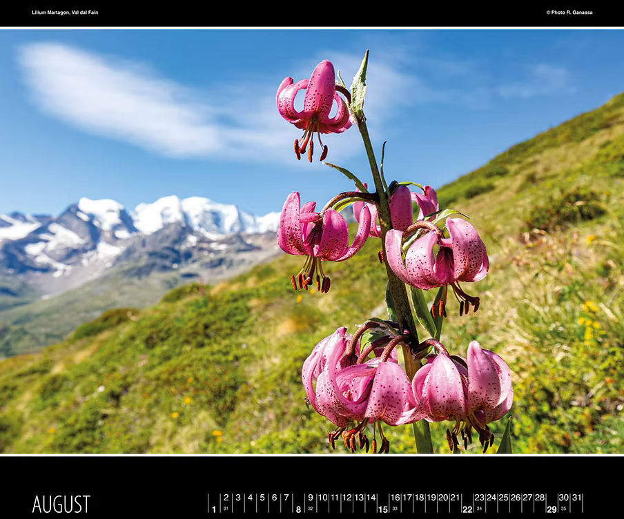 Engiadina Kalender 2027 August.avif