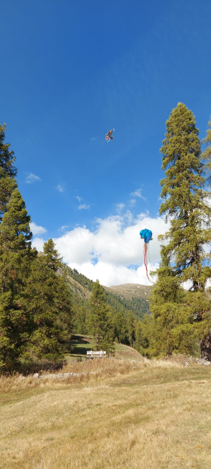 Falken Drachen Engadin
