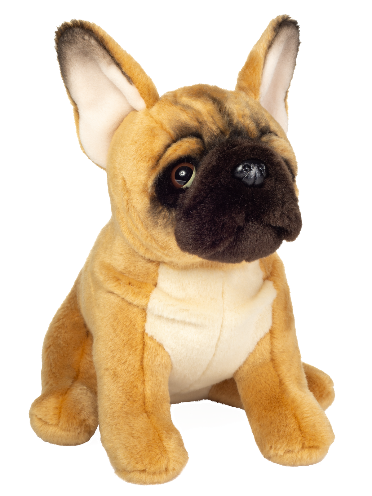 Franzoesische Bulldogge919872 seite 1 frei
