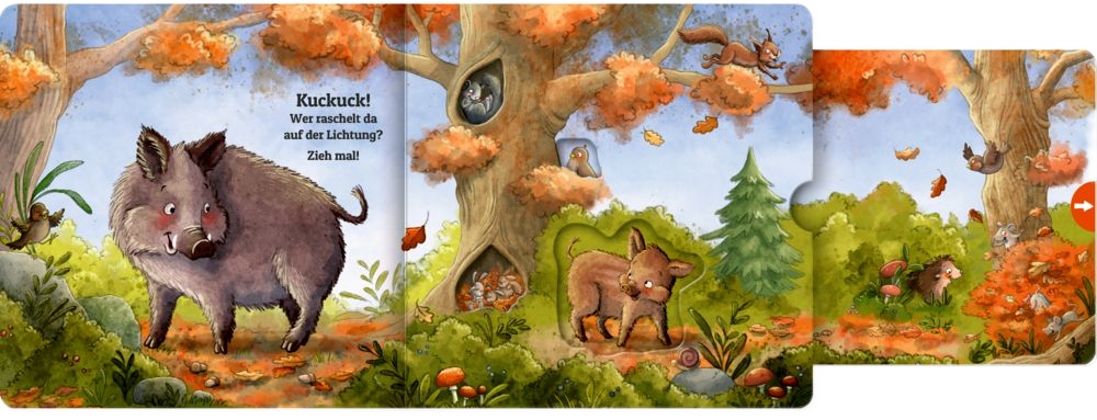 Zieh mal! Kuckuck, es wimmelt im Wald!