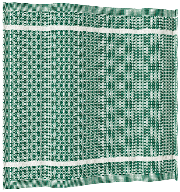 Spueltuch Waffelgewebe dunkelgruen R7629 673 dunkelgruen