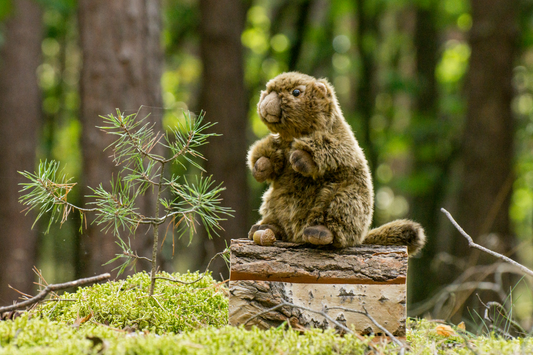 Murmeltier Plüschtier 20cm