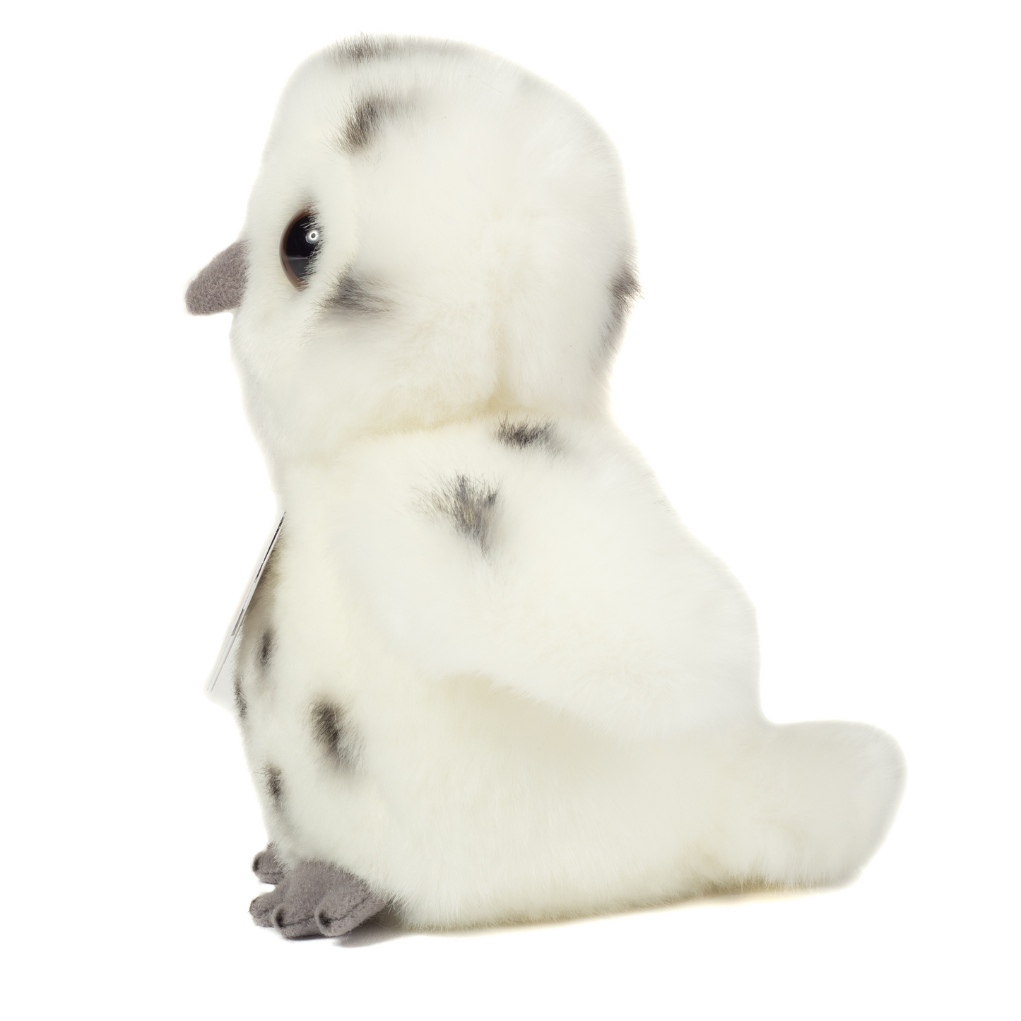 Snowy Owl Plush Toy
