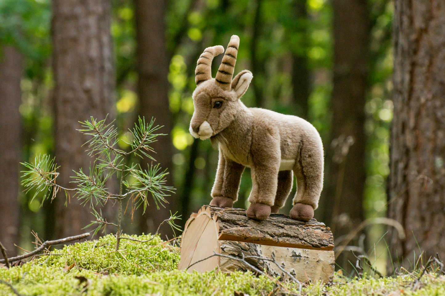 Steinbock Plüschtier 26 cm